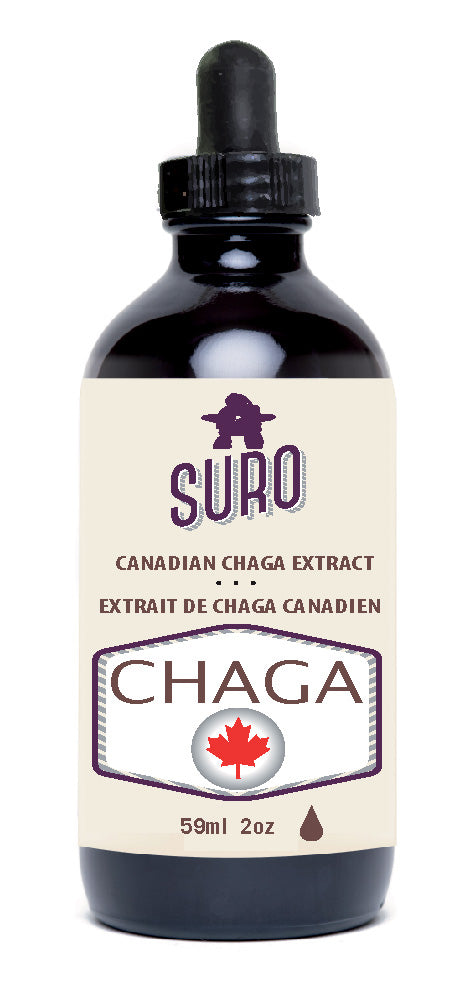 SURO Canadian Chaga Extract